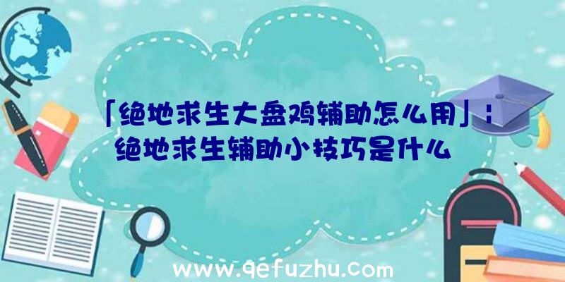 「绝地求生大盘鸡辅助怎么用」|绝地求生辅助小技巧是什么